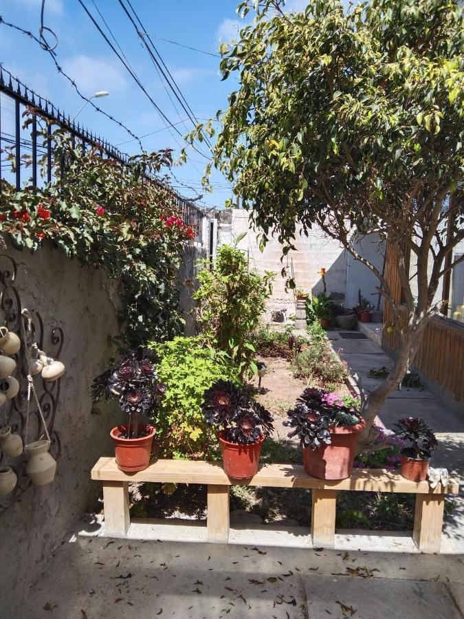 Casa Serena 513 La Serena Eksteriør bilde